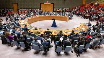 Proposalnya Soal Palestina-Israel Gagal, Diplomat Rusia Sebut DK PBB Tersandera Ambisi Barat