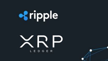 Former Ripple Director Highlights XRP Ledger's Advantages In Solving Blockchain Issues