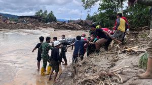BNPB Sebut Mitigasi jadi Langkah Penting Kurangi Risiko dan Dampak Bencana Alam