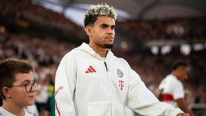 Luis Diaz Sempat Bicara dengan Wirtz sebelum Putuskan Pindah ke Bayern Munchen