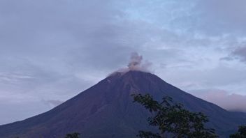 Mount Semeru Erupts Again, Throws 800 Meters Of Ash