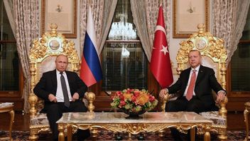 Erdogan Upayakan Perdamaian Rusia-Ukraina, Pembicaraan Selanjutkan Digelar di Istanbul