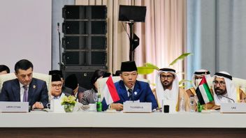 アラブ-OICリーグ首脳会議でのイスラエルのカタール攻撃の非難、杉野外相:数十年にわたる不処罰の悲劇的な結果