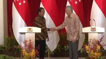 Jokowi Sambut Baik Minat Singapura Terlibat Bangun IKN