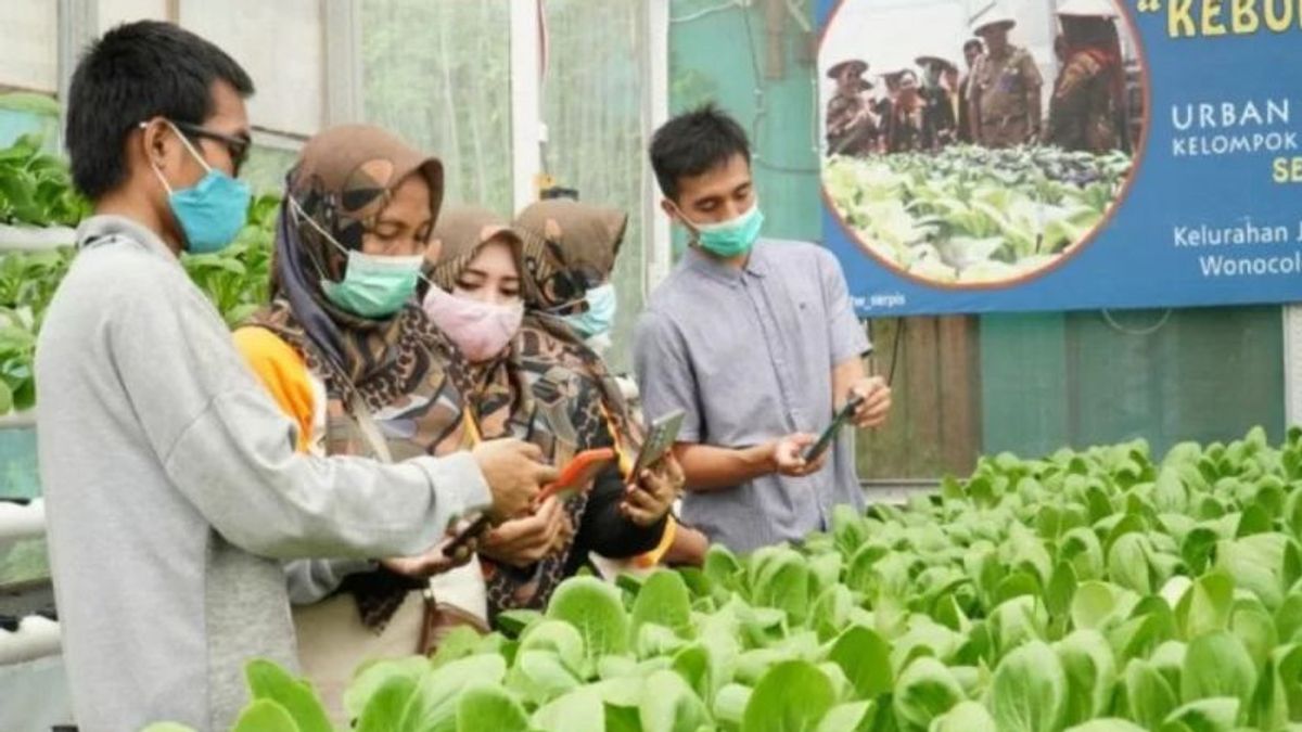 The Surabaya DPRD Encourages Urban Agriculture Through Smart Farming