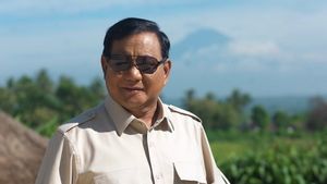 Banyak Hoaks Soal UU Cipta Kerja, Menhan Prabowo: Ada Campur Tangan Asing