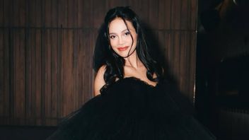 エリカ・カルリーナ、DJパンダの容姿について息子に話すつもりはないと語る