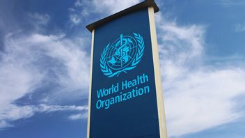 Tantangan Global, WHO Ungkap Lebih dari 1 Miliar Orang Alami Gangguan Mental