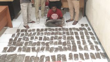Papua New Guinea Residents Arrested By Papuan Police Drug Buser When Bringing 9 Kg Cannabis With Avanza Car