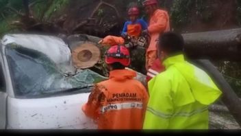Extreme Weather, Trenggalek Communities Reminded Of Potential Falling Trees Disaster
