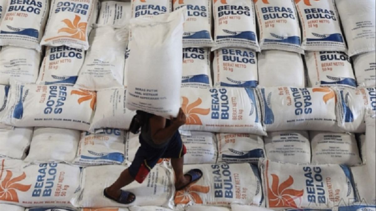 BRIN encourage les candidats à la présidence indépendante pour la productivité du riz des agriculteurs locaux