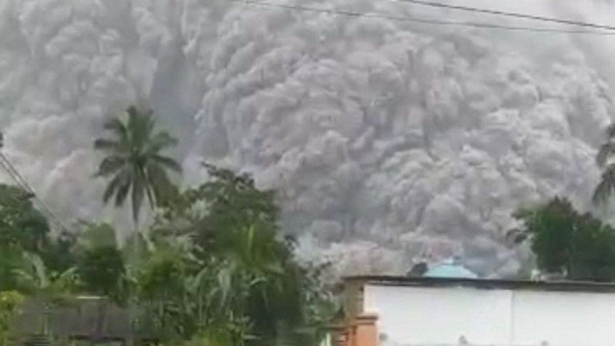 BNPB Terjunkan TRC dan Dorong Logistik Penanganan Darurat Erupsi Gunung Semeru