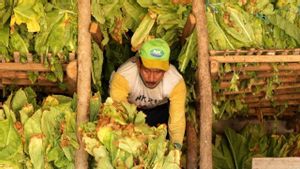 Petani dan Buruh Harus Kembali Bersiap Dihantam 'Bogem' Keras Kenaikan Tarif Cukai