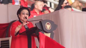 Megawati Goda Airlangga dan Zulhas: Mau Ikut Boleh, Enggak Juga Tidak Apa-apa
