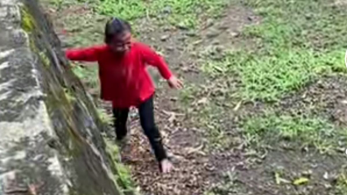 Explanation of TM Raguna Ihwal Child Trapped in Elephant Cage