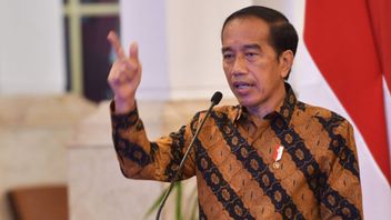 Support Jokowi Visiting Ukraine-Russia Bringing Peace Mission, DPR: Turn Indonesia's Passive Steps Into Active