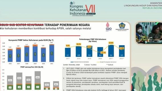 Sri Mulyani Menyebut Komposisi Kehutanan ke PNBP Hanya Rp5,66 Triliun