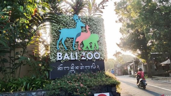 長期休暇、バリ動物園への訪問者は100%増加