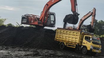 BI: أنشطة تعدين الفحم في كاليمانتان الشرقية لا تزال تنمو بشكل كبير بسبب زيادة الطلب من الصين والهند