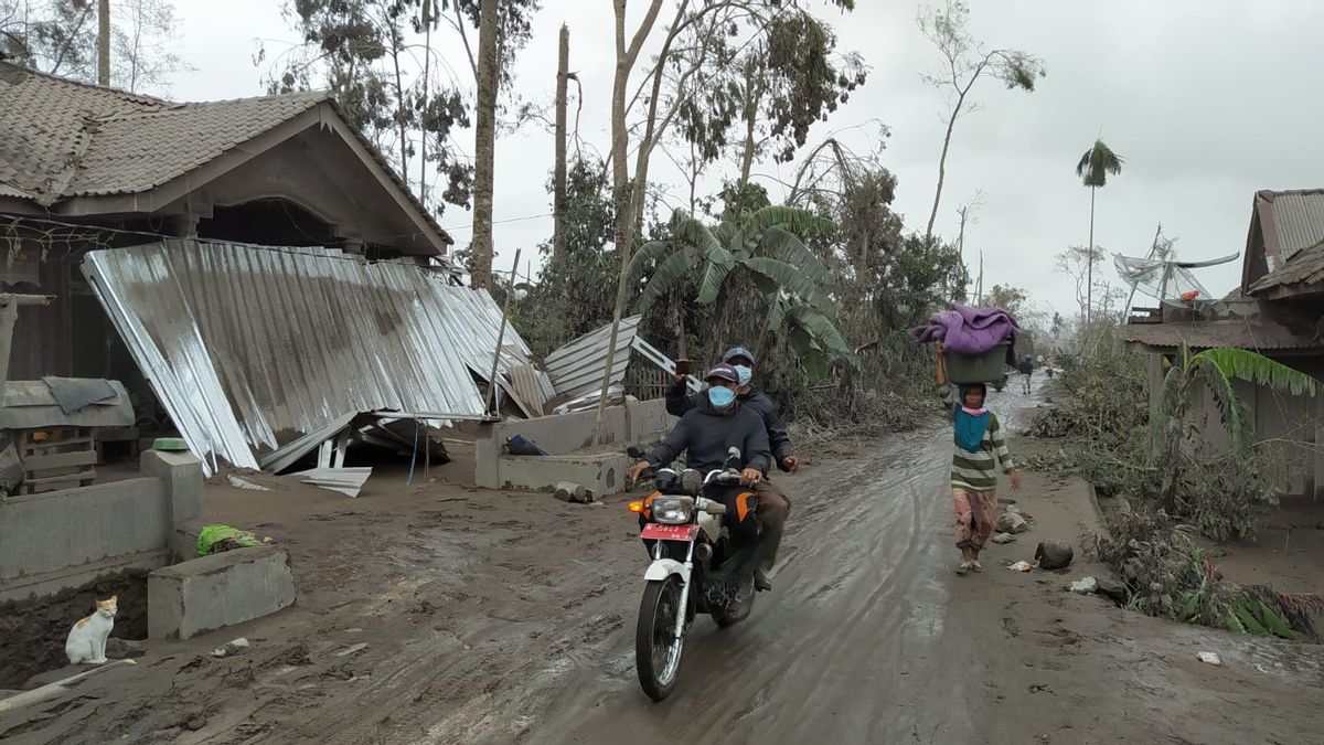 Mobile Brigade And Tracking Dogs Deployed To Comb Areas Affected By Mount Semeru Eruption