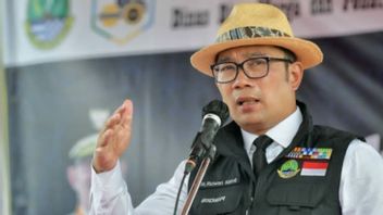 SMRC: The Electability Of West Java Cagub Ridwan Kamil Is Highest, Bima Arya Is In Third Position