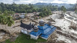 Legislator Gerindra Minta Pemerintah Segera Tetapkan Status Bencana Nasional Sumatera: Pemda Tidak Kuat Menangani