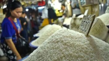 KPPU正在寻找日惹大米价格高企的野生小米