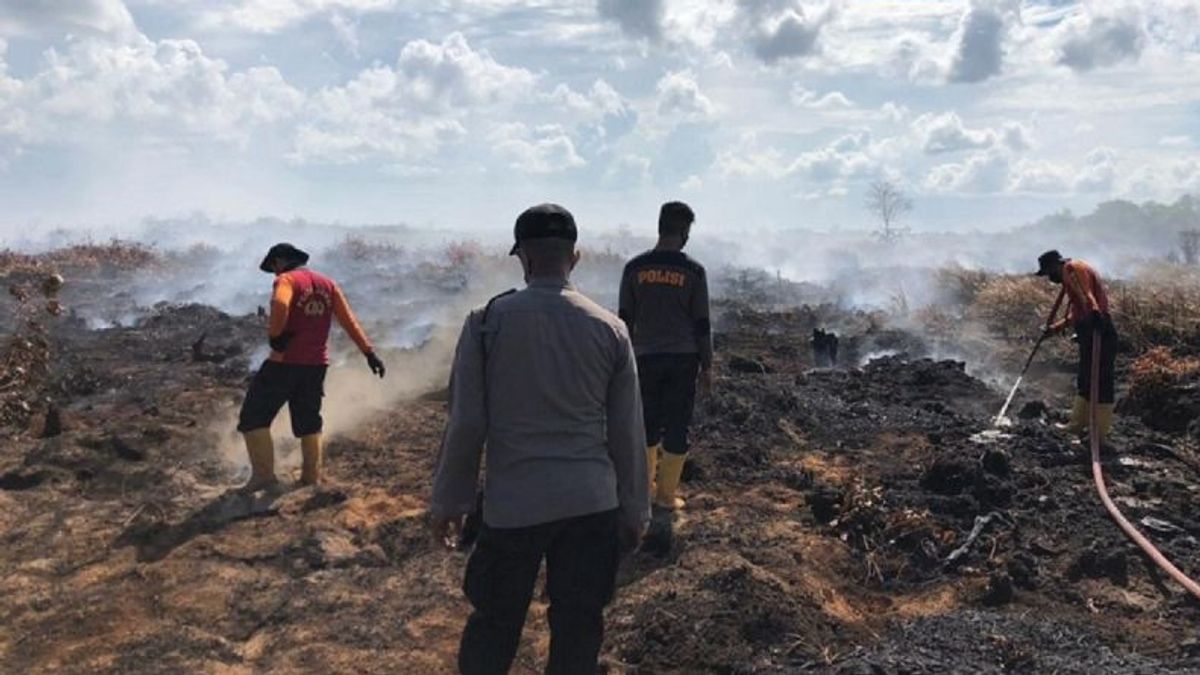 Un incendie de terrain à Rohil, une superficie de 3 hectares, incendié par la police
