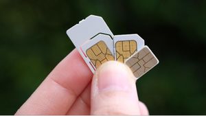 IAW Sebut Penghangusan Kuota Internet sebagai Kejahatan Ekonomi Digital Terbesar