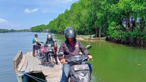Pulau Lakkang Disulap Jadi Destinasi Wisata Digital Berbasis 5G