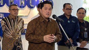 Menteri BUMN Pastikan Tiket Pesawat, Kapal hingga Kereta Tidak Akan Naik saat Lebaran 2025