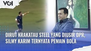 VIDEO: Dirut Krakatau Steel yang Diusir DPR, Silmy Karim Ternyata Pemain Sepak Bola