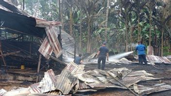 30 Ribu Ekor Ayam Hangus Terpanggang Api di Agam, Damkar Terjunkan 5 Unit Mobil dan Puluhan Personel