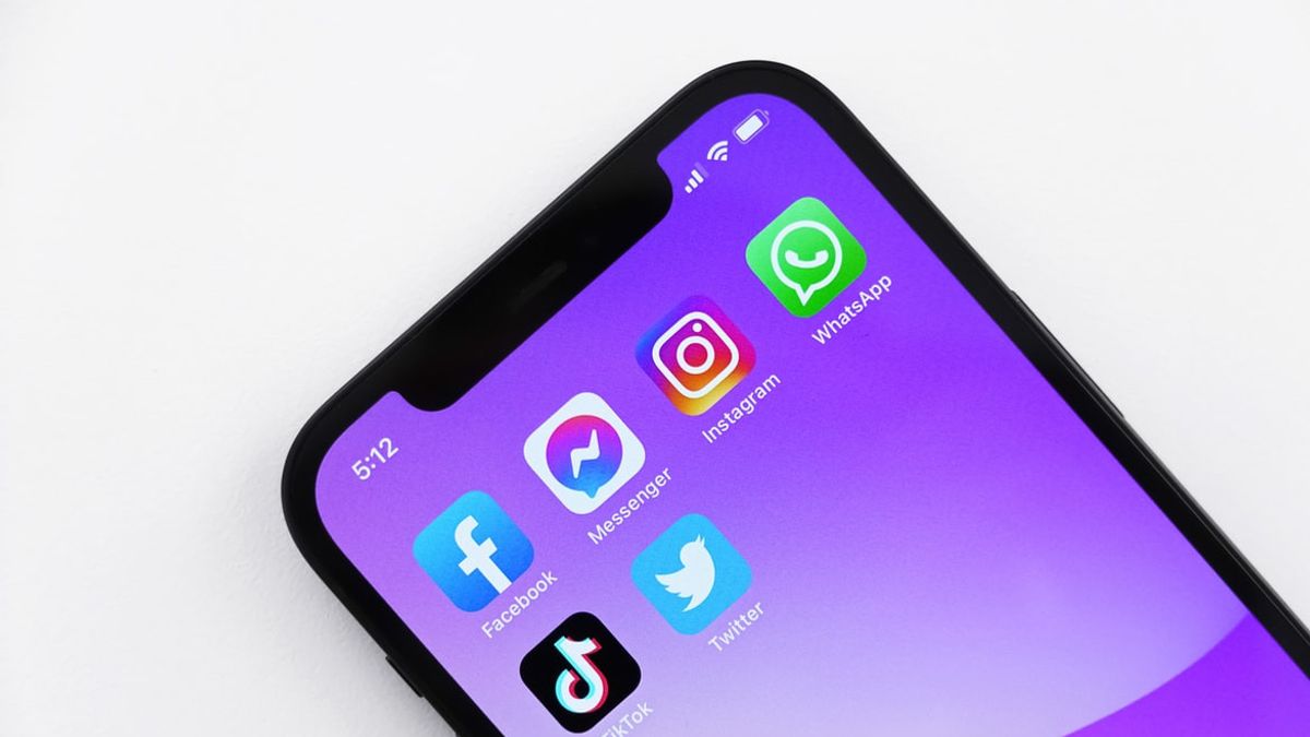 Gara-Gara TikTok, Pandemi dan Biaya Seluler  di India, Pengguna Facebook Turun Drastis, Instagram Bagaimana?