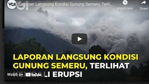 Video: Laporan Langsung Kondisi Gunung Semeru, Terlihat Kembali Erupsi
