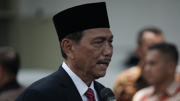 Luhut: Construction Of The Hyundai Electric Car Factory In Karawang Will Be Completed In March 2021