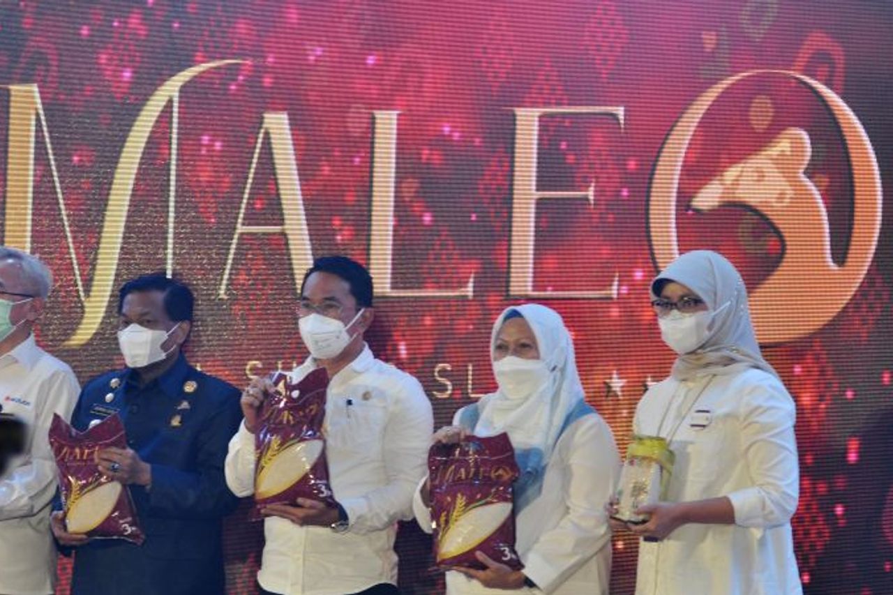Bonnes Nouvelles Du Centre De Sulawesi, Bulog Lance Le Pilier « Maleo Rice » De La Province