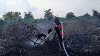 BNPB: Titik Panas di Kalimantan Berkurang Drastis