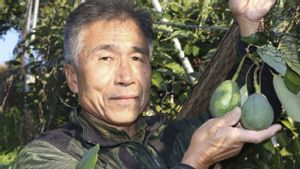 地球温暖化が日本のオレンジ都市をアボカドの土地に変える