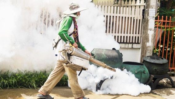 Efek Fogging Terhadap Ibu Hamil Lengkap dengan Langkah Antisipasi saat Pengasapan