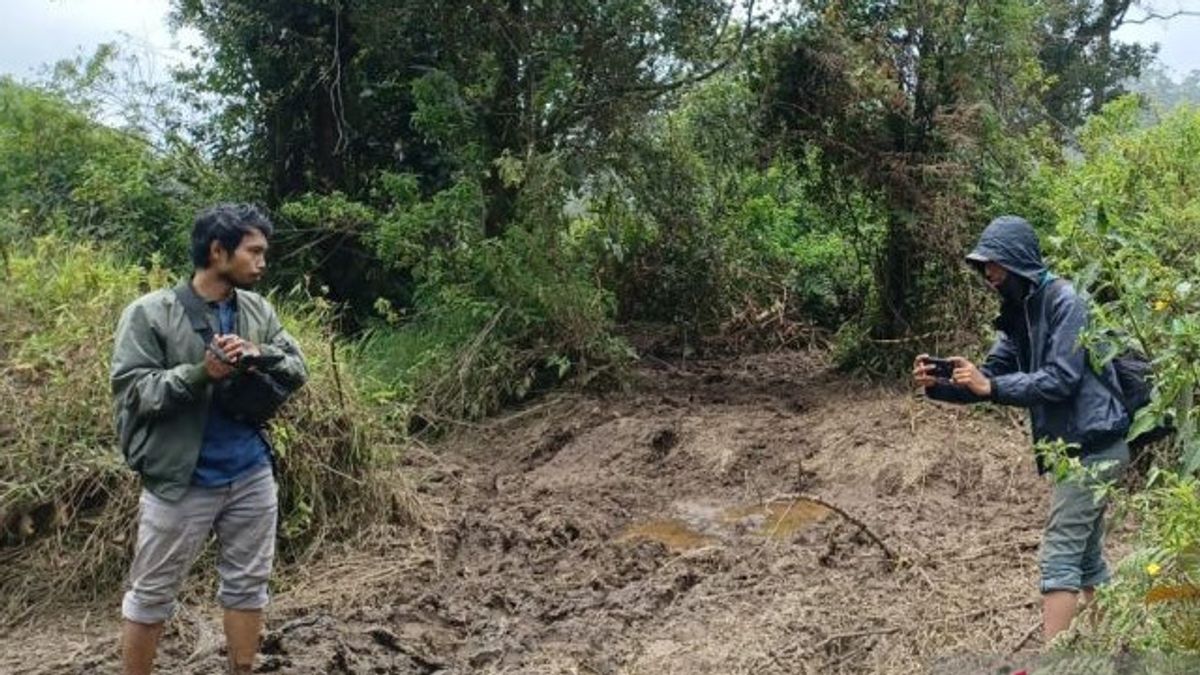 Perhutani Closes Ranca Upas Tourism Area Damaged By Trail Motor Activities