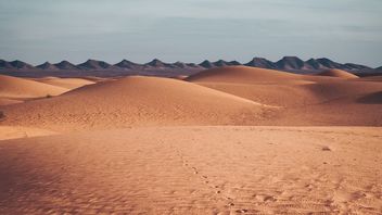 Tiktokのウイルス性サハラ砂漠、ここに世界最大の砂漠についての事実があります