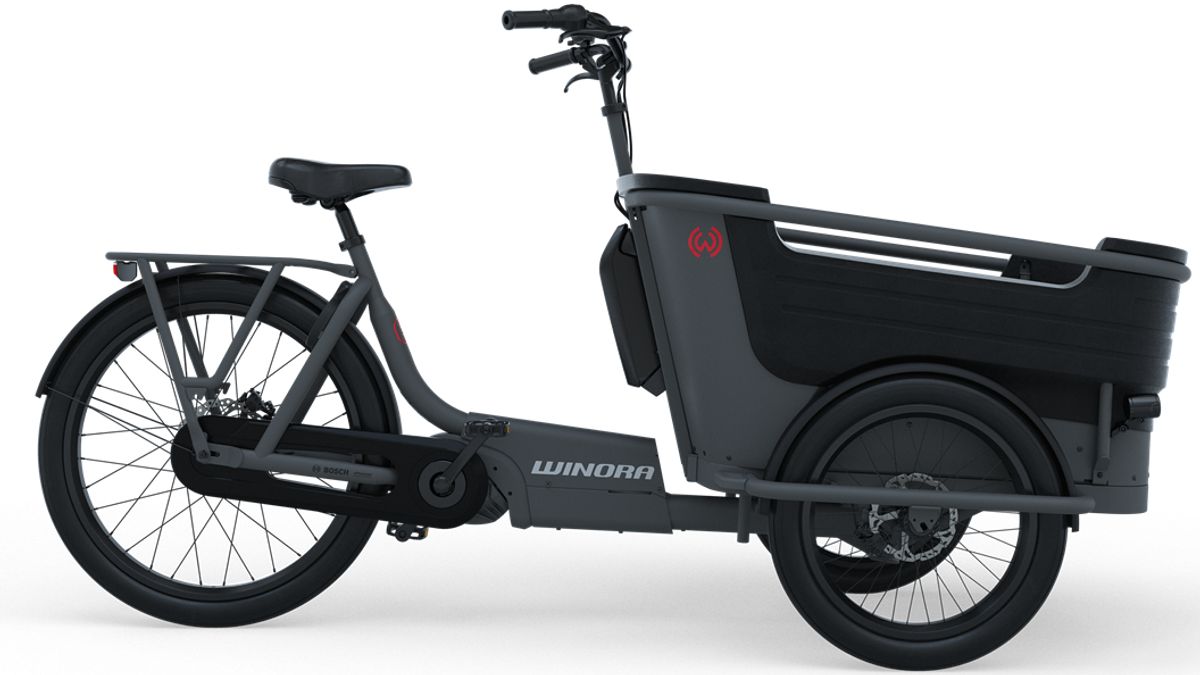 This Electric Bike Manufacturer Presents Cargo Electric Bikes Loaded With Four Children