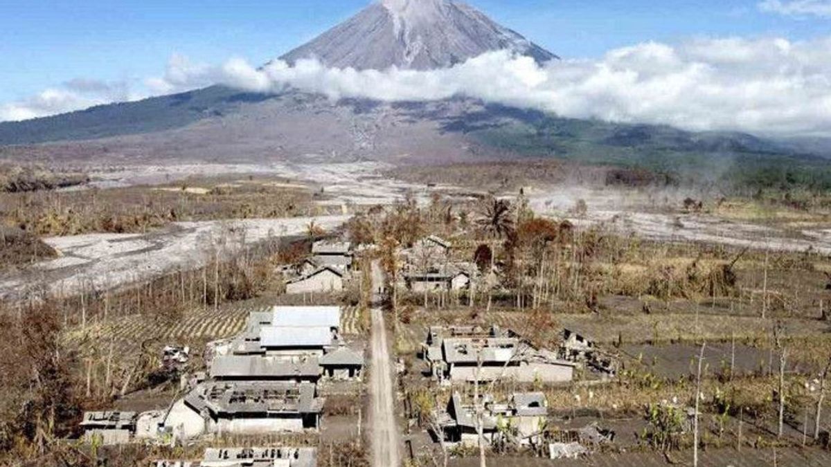 1 Korban Erupsi Gunung Semeru Kembali Ditemukan, Jenazah  Langsung Dimakamkan 
