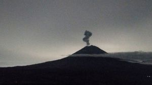 Semeru Erupsi周三晚上,喷发高达1,000米