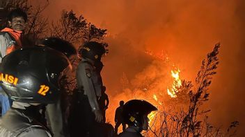 Padamkan Kebakaran Hutan di Lereng Gunung Sumbing, Ribuan Personel TNI-Polri Dikerahkan 