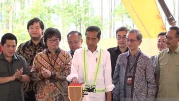 Jokowi Affirms Domestic Investors Prioritized For The Development Of IKN Nusantara Facilities