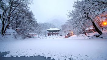 يجب أن تعرف قبل الحجز! ما هو شهر الشتاء في كوريا؟