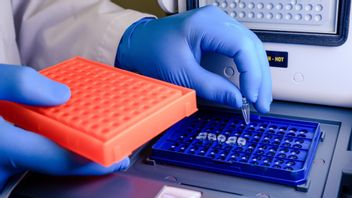 rénales : des gènes aux médicaments : suivre les étapes de la technologie plastique pour la production d’insuline