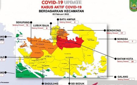 Penularan COVID-19 di Batam Terus Meningkat